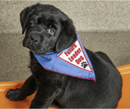 Screenshot 2025-09-28 at 2.06.11 PM